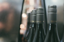 Unternehmensportrait Weingut Briem | Johannes Meger Photography | Fotograf für Werbung, Portraits und Corporate