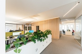 Johannes Meger Photography