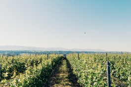 Johannes Meger Photography