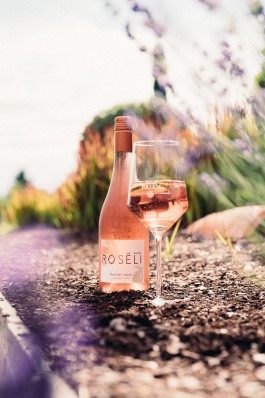 Johannes Meger Photography