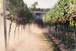 Johannes Meger Photography