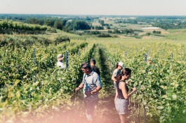 Johannes Meger Photography