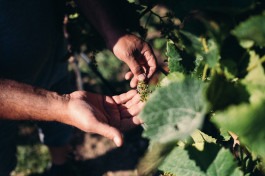 Johannes Meger Photography