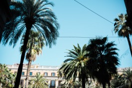 Johannes Meger Photography