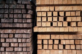 Johannes Meger Photography