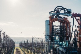 Johannes Meger Photography