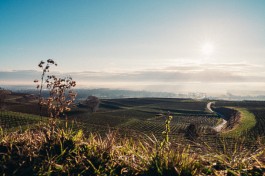 Johannes Meger Photography